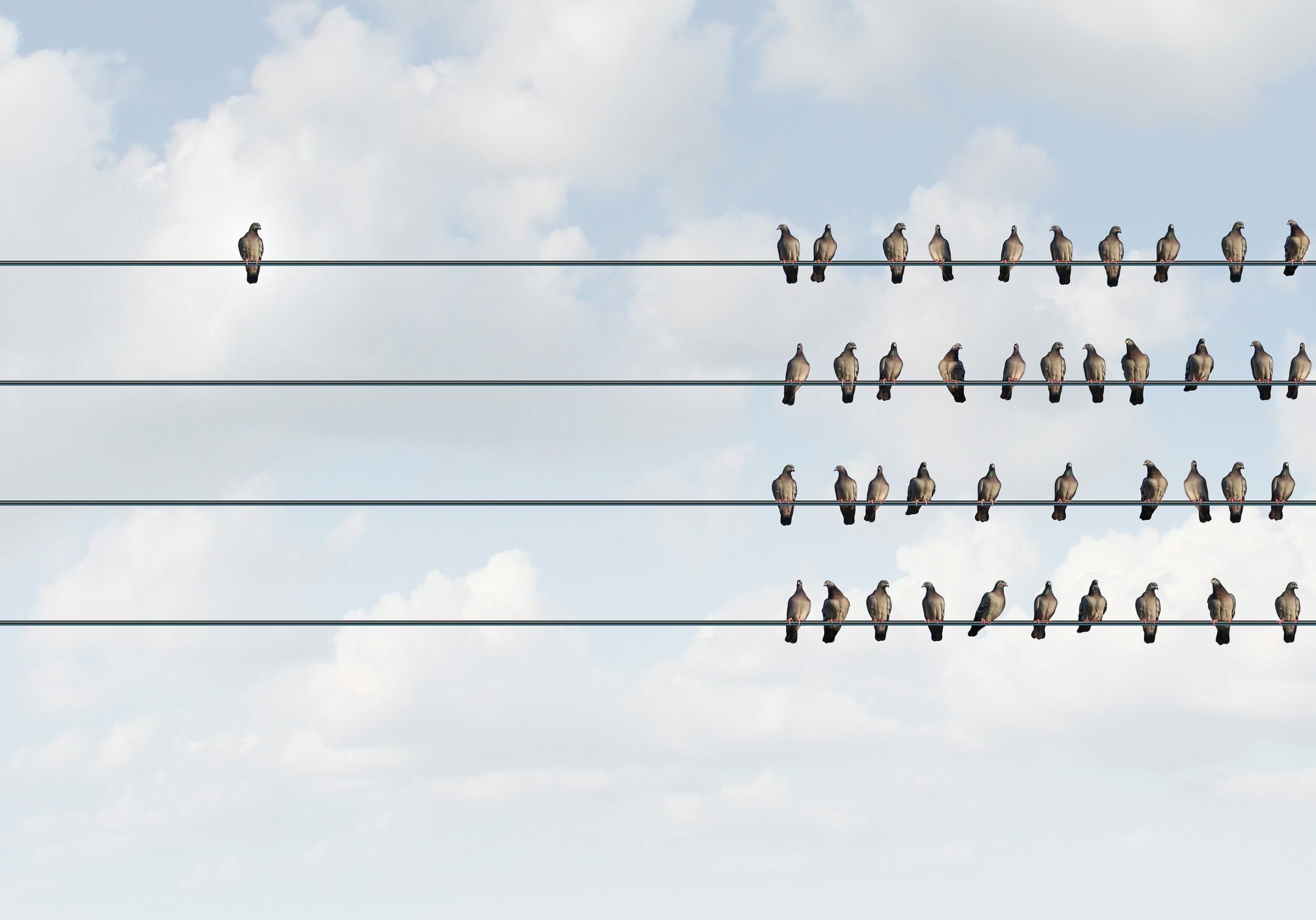Birds Grouped on Wires with One Bird by Itself "Individuality"